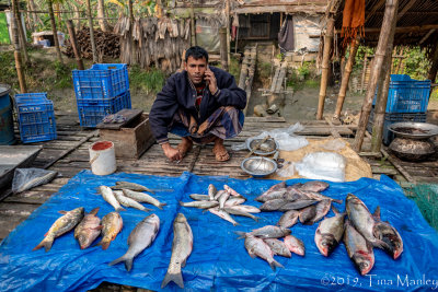 Checking the Market