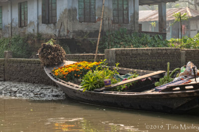 Flower Boat