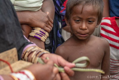 The Snake Charmer