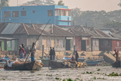 Headed for the Rice Market