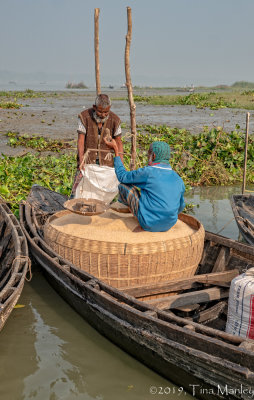 Weighing the Rice