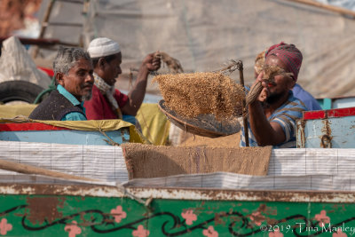 Tossing Rice Into Boat