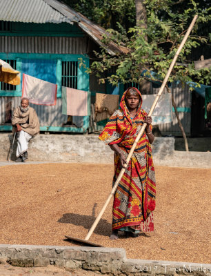Stirring the Rice