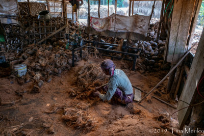 Processing Coconut Husk Fibers