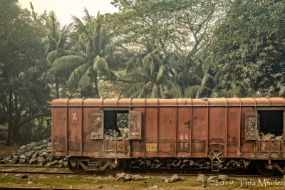 Rock Train