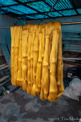 Skeins of Silk from Golden Cocoons