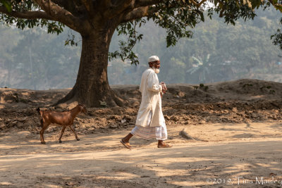 Walking the Goat