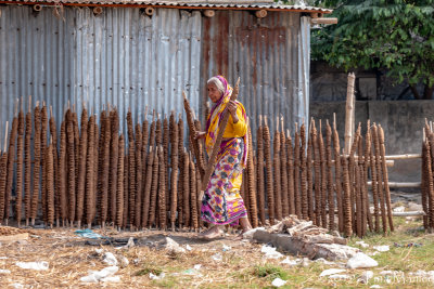 Drying Dung Sticks