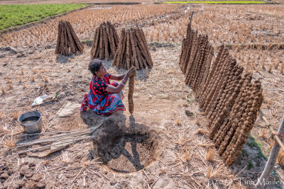 Making Dung Sticks, III