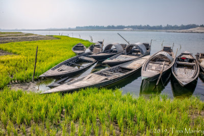 The Boats