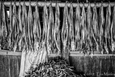 Drying Fish