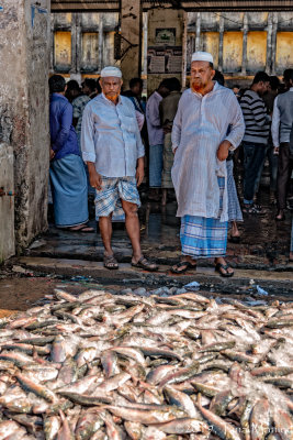 The Fish Market
