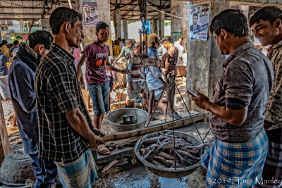 Weighing the Fish, II