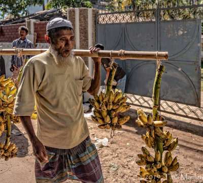 Banana Salesman