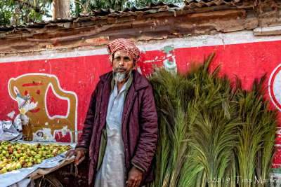 Street Vendor