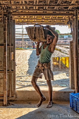 Carrying In the Fish