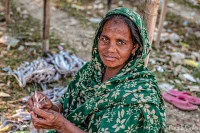 Processing Dried Fish