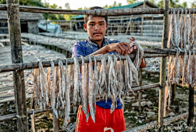 Hanging the Fish to Dry