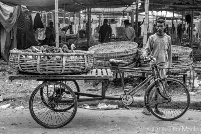 The Bird Market