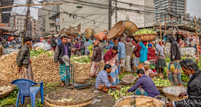 Radishes and Kohlrabi