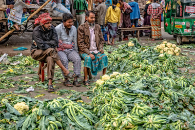 Watching the Market