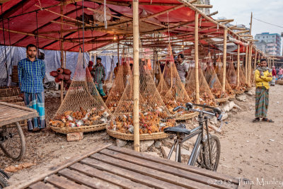 The Chicken Market