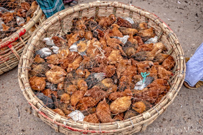 Chicken Basket