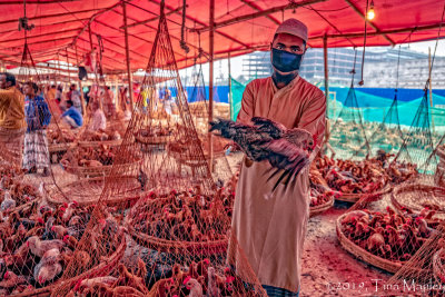 The Chicken Handler