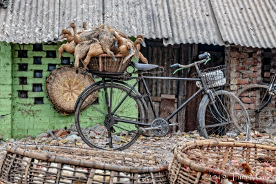 Ready to Ride