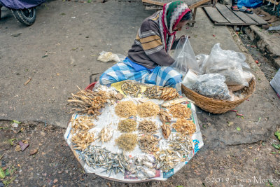 Dried Fish for Sale
