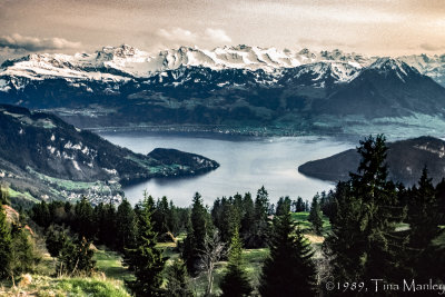 Swiss Alps and Lake Lucerne