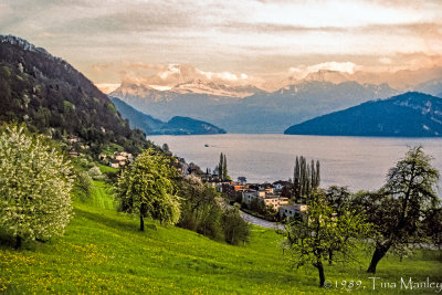 Lake Lucerne Village