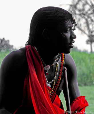 Ole, Maasai Warrior