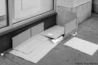 Street Bed