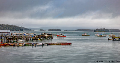 The Harbor