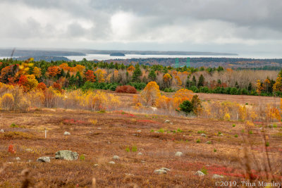 Caterpillar Hill