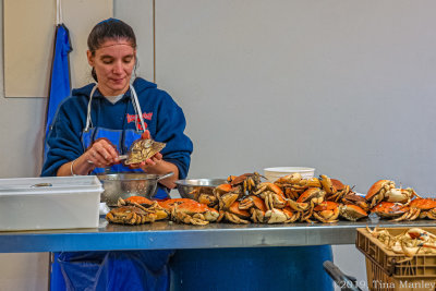 The Crab Picker