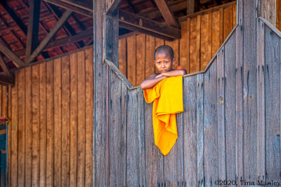 Young Monk at Rural Pagoda