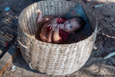 Basket Baby in Color