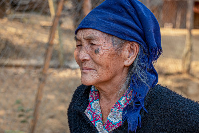 Hmong Craftswoman