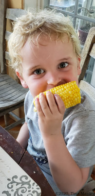 Corn on the Cob, II