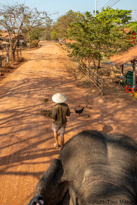 Elephant Ride, III