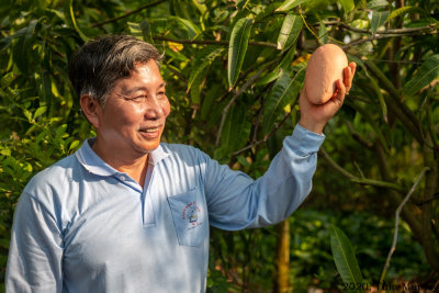 Mango Farmer