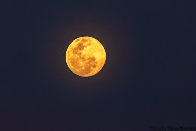 Full Moon, II