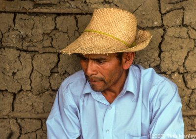 Soltero Dominguez Mendes