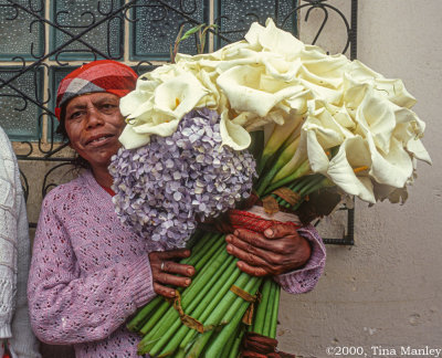 Lenca Flowers