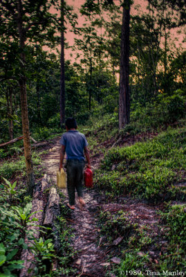 Fetching Water at Dawn