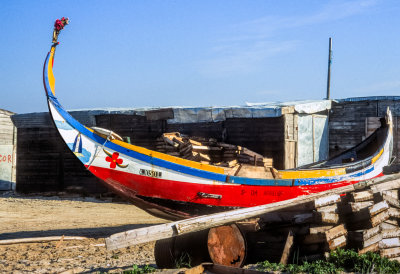 Painted Portuguese Fishing Boats