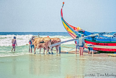 Praia da Terrero