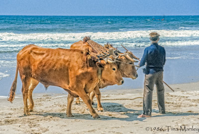 Praia da Terrero